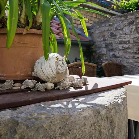 Draga - Traditional & In Center Vrboska